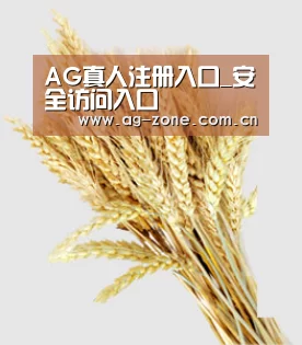 AG真人注册入口_安全访问入口