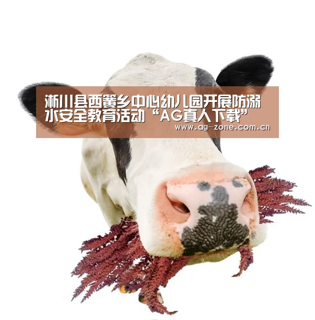 AG真人登录