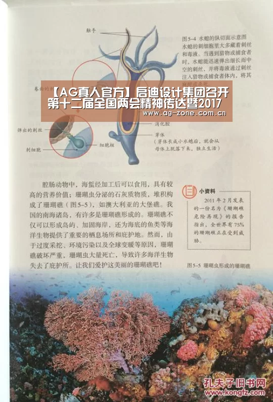 【AG真人官方】启迪设计集团召开第十二届全国两会精神传达暨2017年技术质量管理大会(图1) AG真人官方