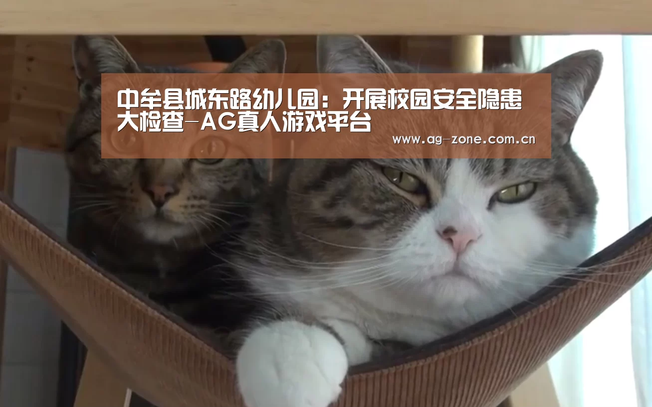 中牟县城东路幼儿园:开展校园安全隐患大检查-AG真人游戏平台(图1) AG真人游戏平台