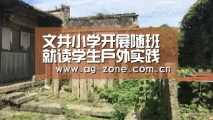 文井小学开展随班就读学生户外实践活动_AG真人下载(图1) AG真人登录