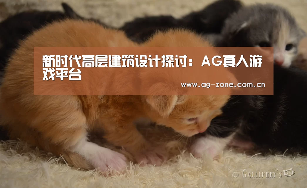 新时代高层建筑设计探讨:AG真人游戏平台(图1) AG真人游戏平台
