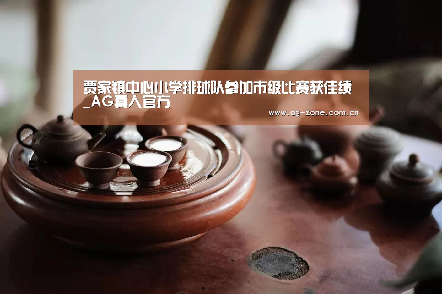 贾家镇中心小学排球队参加市级比赛获佳绩_AG真人官方(图1) AG真人游戏平台