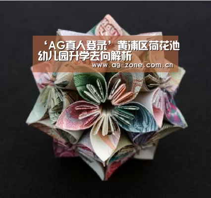 ‘AG真人登录’黄浦区荷花池幼儿园升学去向解析(图2) AG真人游戏平台